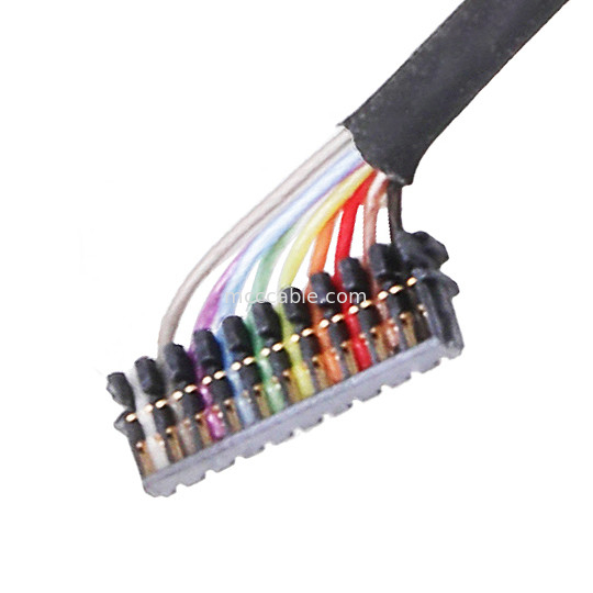 0,6 connecteurs coaxiaux micro du câble équipé de LANCEMENT JST 04XSR-36KHF 06XSR-36KHF 10XSR-36KHF
