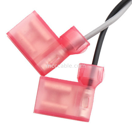 TE 2-520129-2 à micro de Molex 0430250408 ont adapté le double câble équipé de câble de rangée de 3,0 récipients