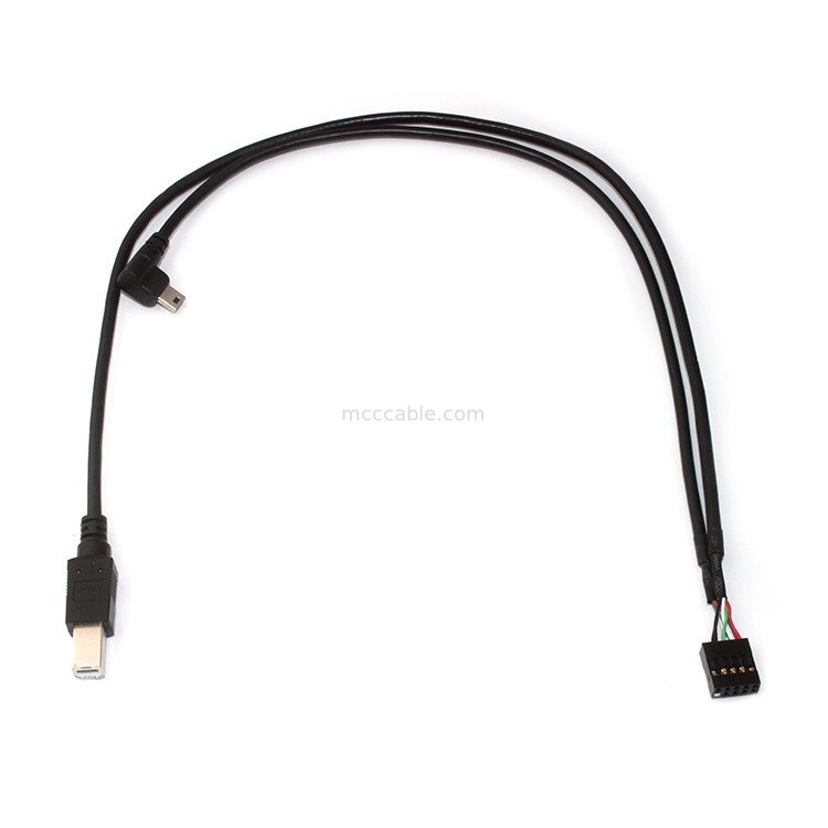 10 longueur Molex 22-55-2101 du câble équipé de Molex de lancement de Pin 30AWG 2.54mm 150mm