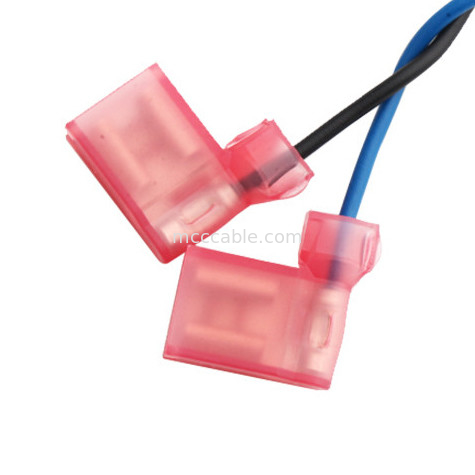 Assemblée 3,0 de cable électrique de MOLEX 430250408 À de TE 2-520129-2 4 longueur de la borne 100mm