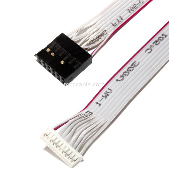 IDC 12 PIN Flat Flexible Ribbon Cable DF19 À JST rf pour le cable électrique de PCBA