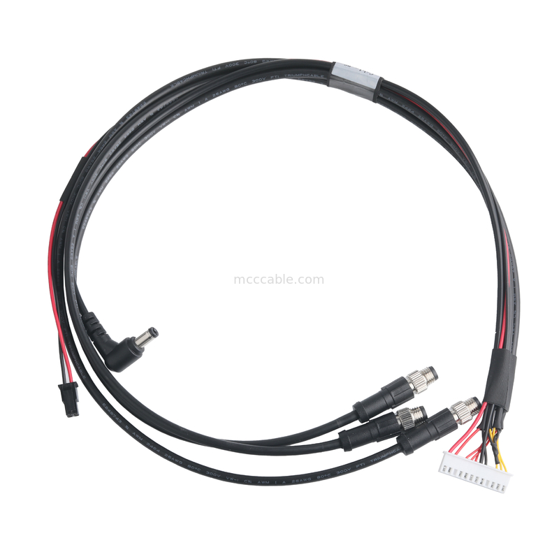 Le câble XHB-12P à M8 CONN et le câble DC CONN ou 43025-0400 CONN Pitch 3.0mm OEM/ODM