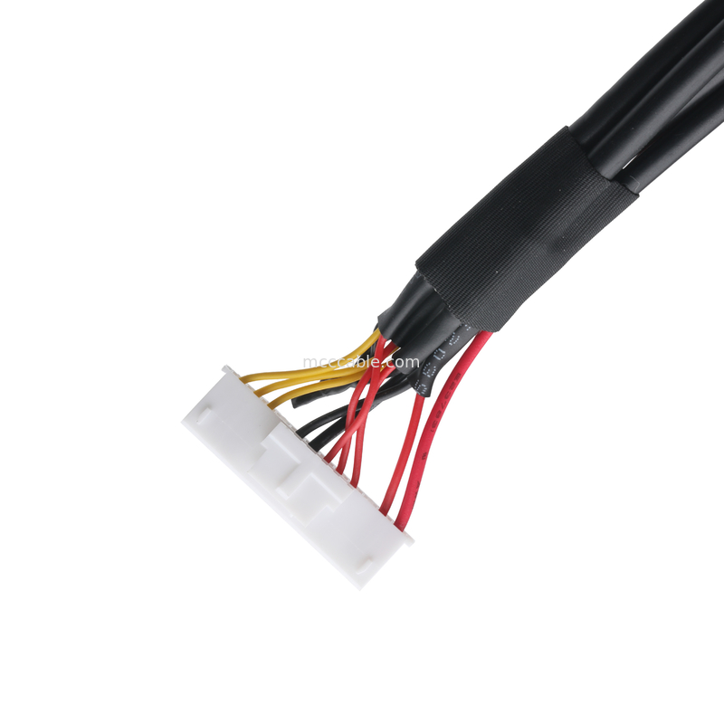 Le câble XHB-12P à M8 CONN et le câble DC CONN ou 43025-0400 CONN Pitch 3.0mm OEM/ODM