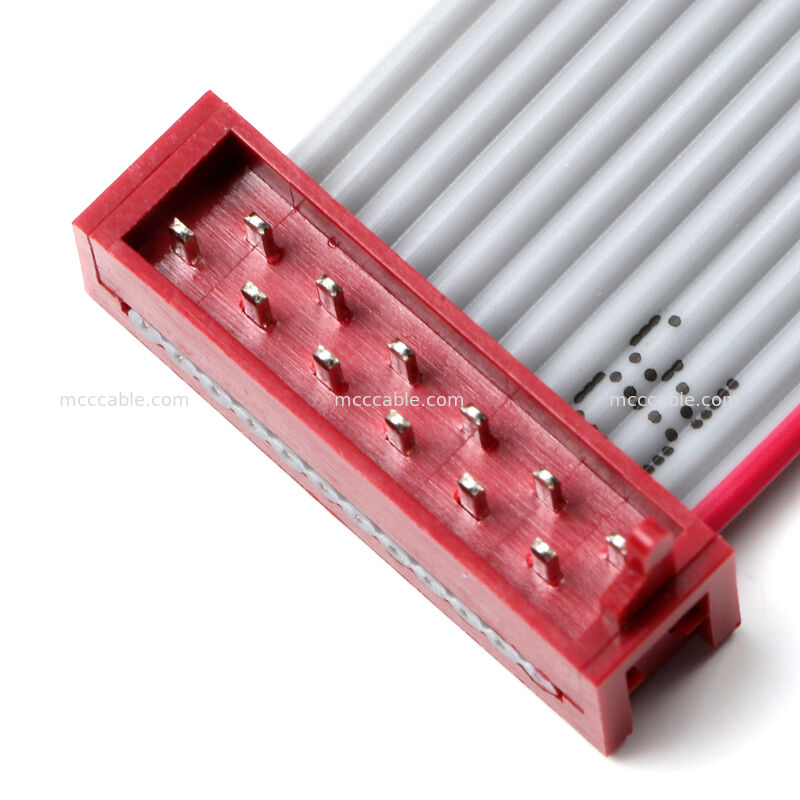 Assemblage de câble ruban plat IDC – Connecteur à deux rangées de 2,54 mm, OEM personnalisé