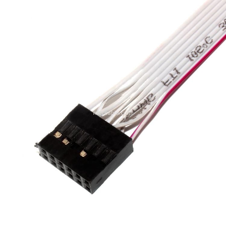 IDC 12 PIN Flat Flexible Ribbon Cable DF19 À JST rf pour le cable électrique de PCBA
