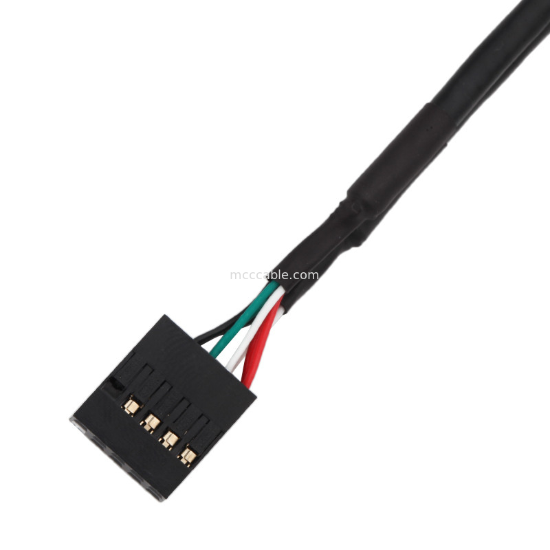 Câble équipé de harnais de fil de longueur de HSG 100mm 2×5 Pin Black To PHD-2×5P