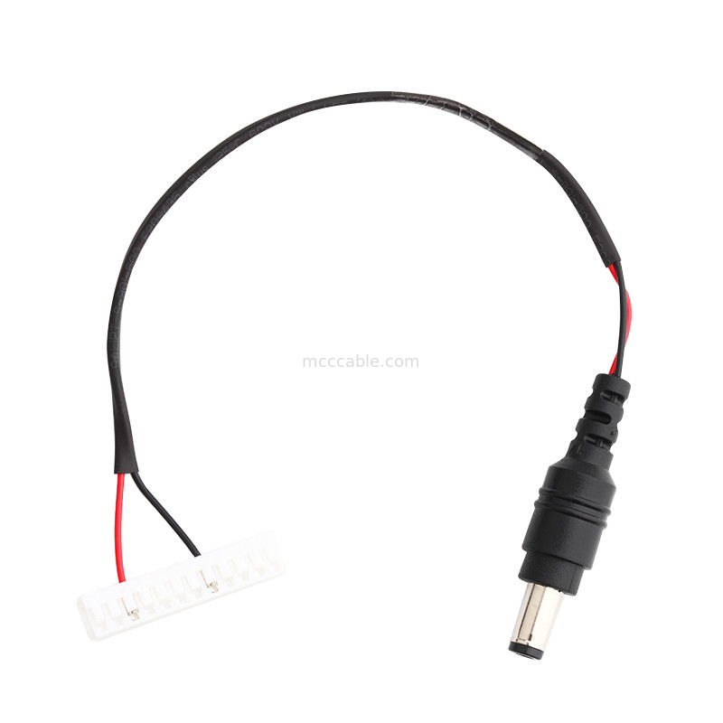 PRISE de C.C du cable électrique de prise de C.C de JST HER-12 LVDS 2,5 au câble de connecteur mâle des lvds 12 de lancement